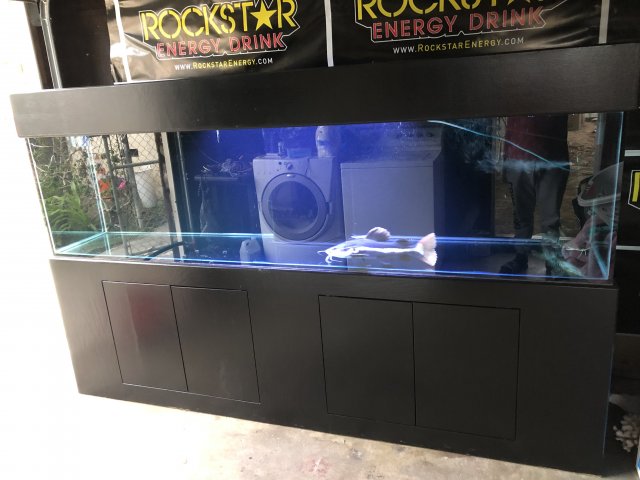 1594538A-91CB-41BF-AA48-41718363189A.jpeg 1594538A-91CB-41BF-AA48-41718363189A.jpeg