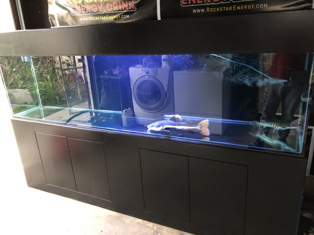 866737A4-5F26-4026-9B10-9631B5B9B3DD.jpeg 866737A4-5F26-4026-9B10-9631B5B9B3DD.jpeg