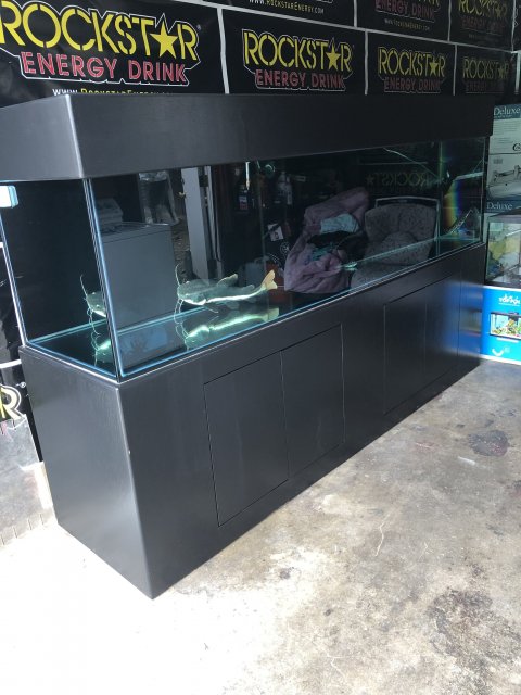 FAF4842E-1730-4365-824B-33100B7B0A3E.jpeg FAF4842E-1730-4365-824B-33100B7B0A3E.jpeg