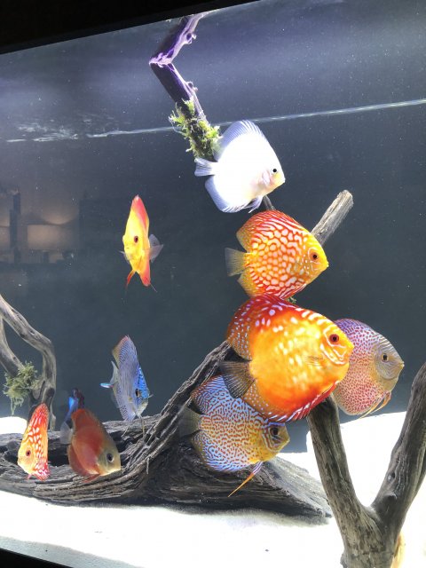 D044C503-1109-4F3E-A832-93288ACE1C28.jpeg D044C503-1109-4F3E-A832-93288ACE1C28.jpeg