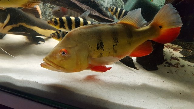 20171023_095505.jpg