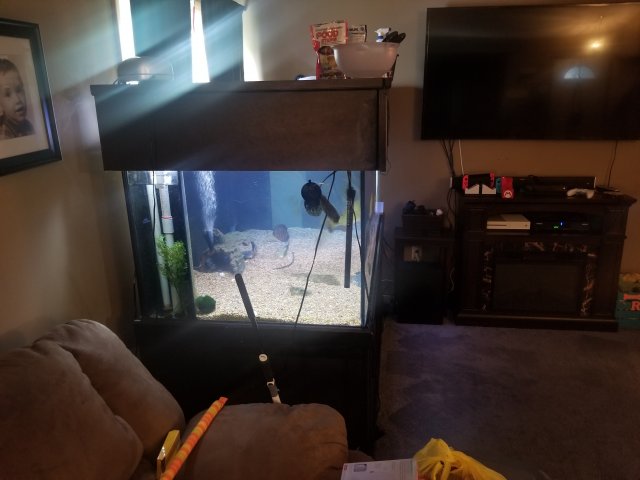 20190619_150257.jpg