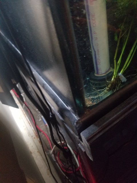 20190619_150717.jpg