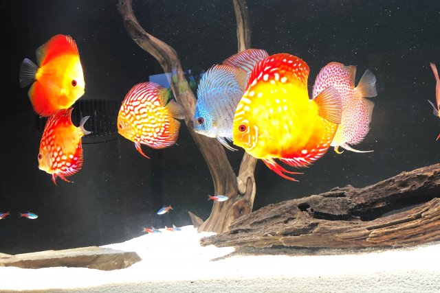 E0F8F300-4358-4CE4-AA35-E8B7E0053327.jpeg E0F8F300-4358-4CE4-AA35-E8B7E0053327.jpeg