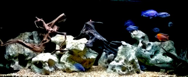 20190616_080018.jpg 20190616_080018.jpg