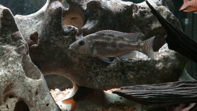 20190619_101511.jpg 20190619_101511.jpg