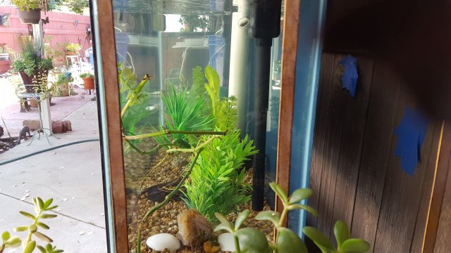 20190619_094643.jpg