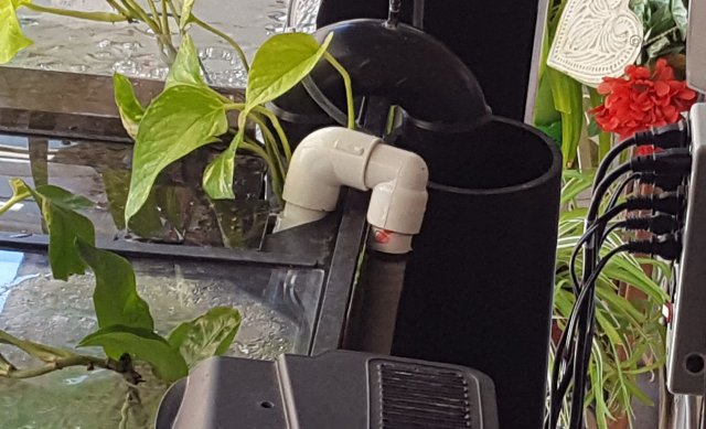 20190622_183551.jpg