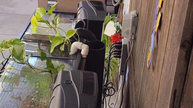 20190622_125603.jpg