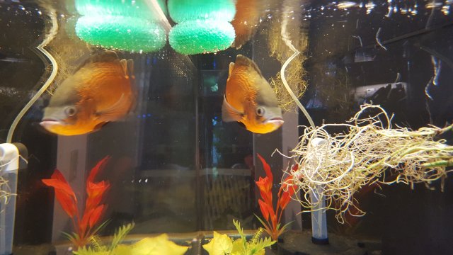 20190619_065935.jpg