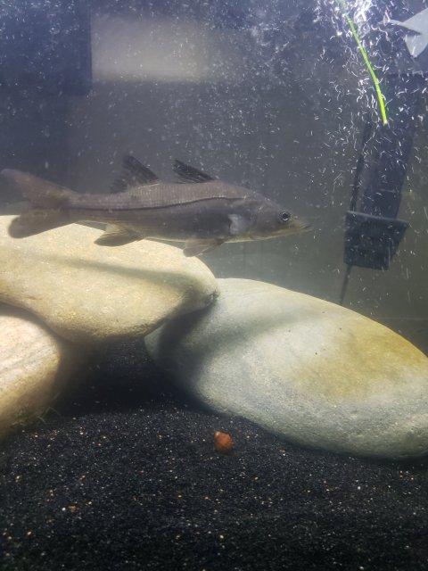 20190624_195604.jpg 20190624_195604.jpg