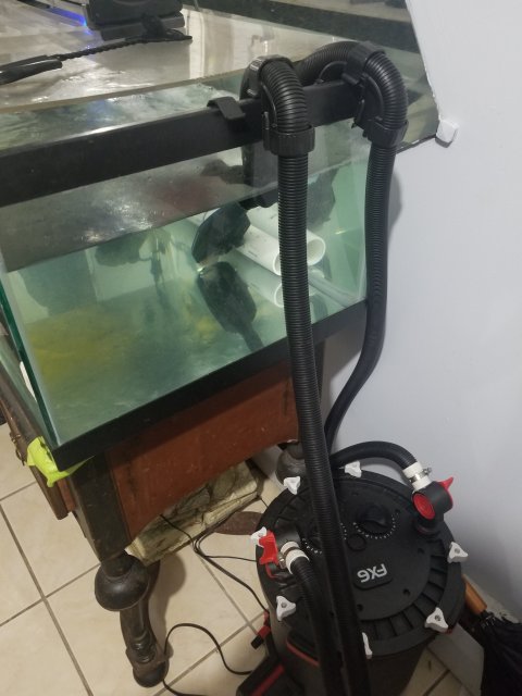 20190625_205927.jpg 20190625_205927.jpg