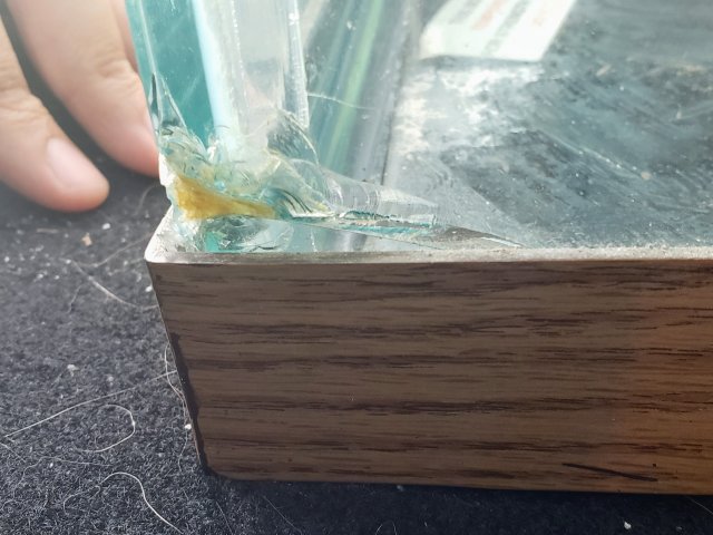 20190627_115538.jpg