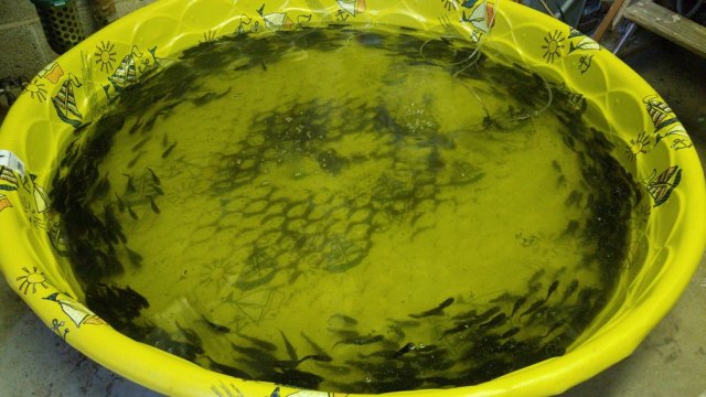 smaller.jpg smaller.jpg