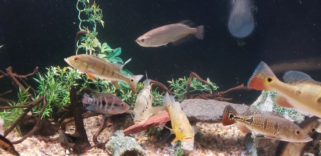 20190627_232948.jpg