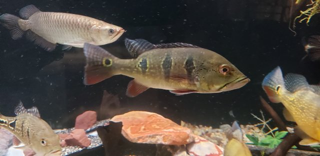 20190627_232852.jpg