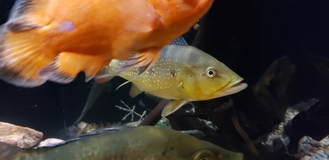 20190627_232839.jpg