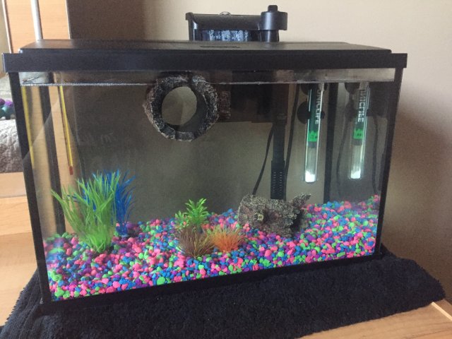 2E493B74-2CD8-459B-B297-AE54A7534D74.jpeg 2E493B74-2CD8-459B-B297-AE54A7534D74.jpeg