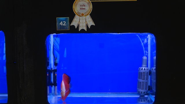 1378311
