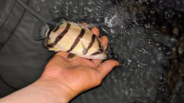 IMG_20190629_061458.jpg