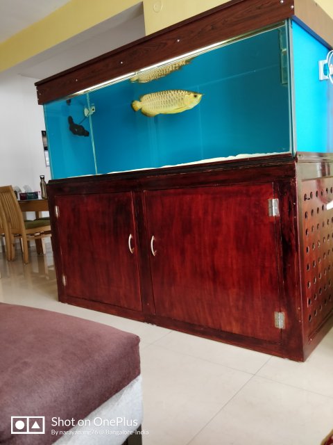 IMG_20190630_122038.jpg IMG_20190630_122038.jpg