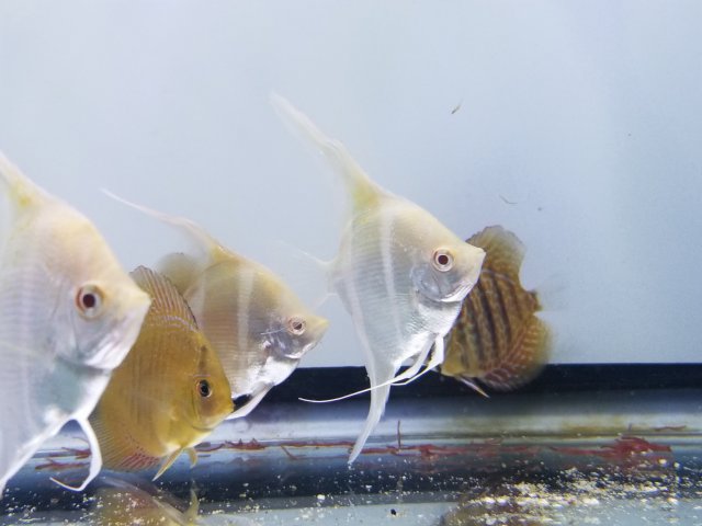 20190703_230905.jpg