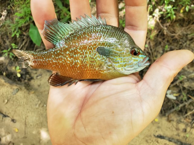 20190707_121407.jpg