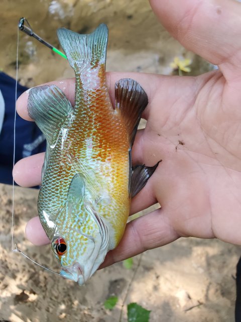 20190619_165953.jpg