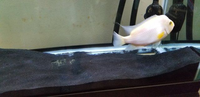 20190628_165732.jpg 20190628_165732.jpg