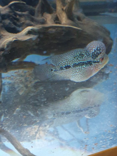 20190709_025401.jpg
