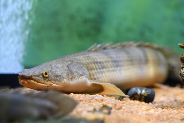 DSC_7494_369.JPG