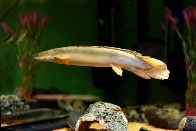 DSC_7407_354.JPG