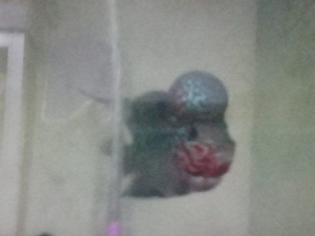 IMG-20190711-WA0014.jpg