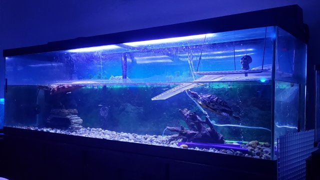 20190712_012040.jpg