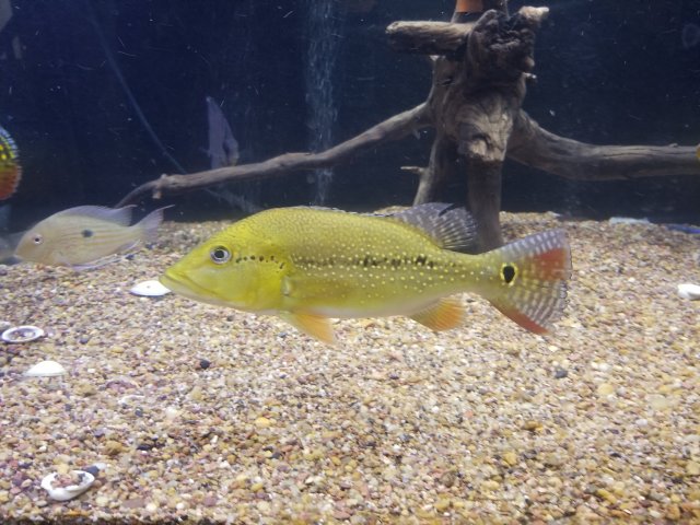 20190712_104801.jpg