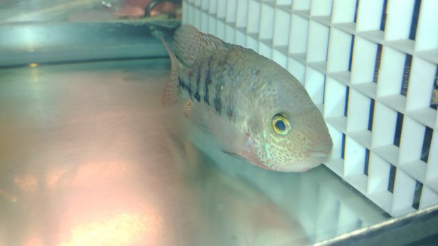 0713191040.jpg 0713191040.jpg