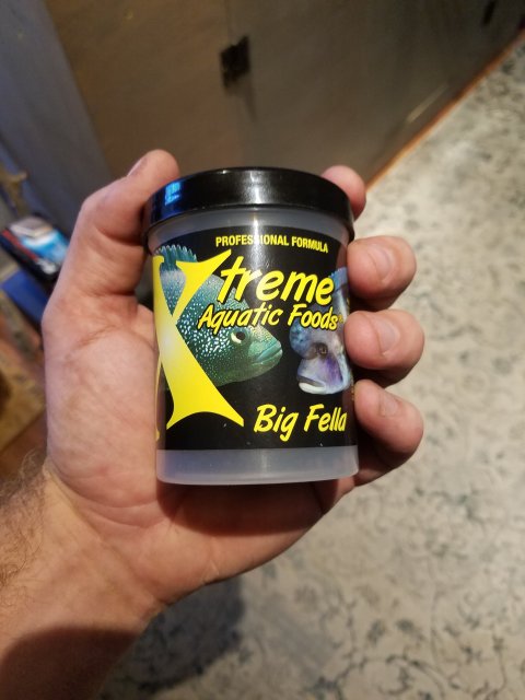 20190713_145134.jpg