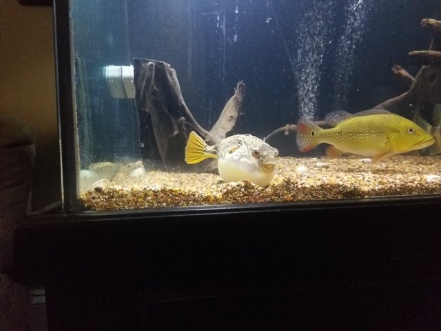 20190714_112313.jpg