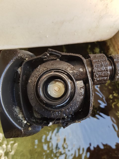 20190713_114537.jpg