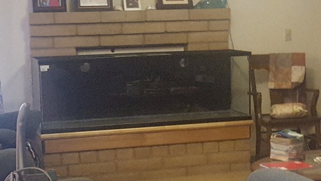 20190717_131919.jpg
