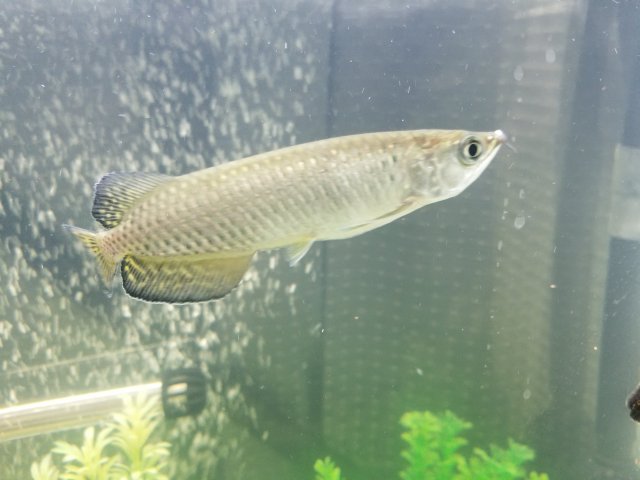 20190717_001411.jpg