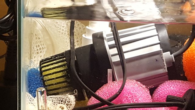 20190718_155919.jpg
