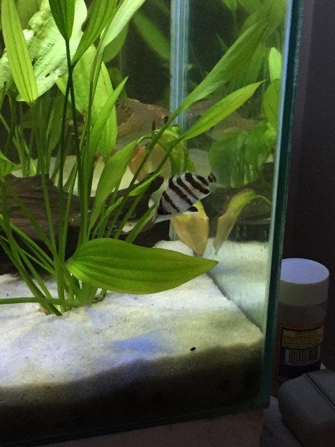 67823E42-5275-44DD-9136-964791C2125E.jpeg 67823E42-5275-44DD-9136-964791C2125E.jpeg