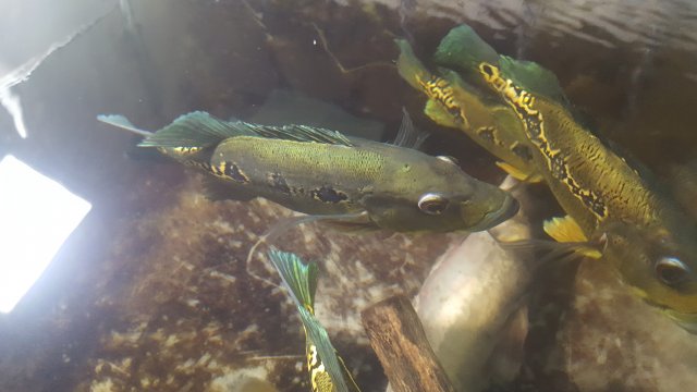 20190720_172514.jpg