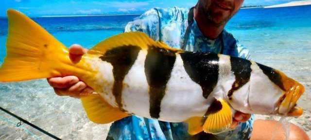 20190722_141044.jpg 20190722_141044.jpg