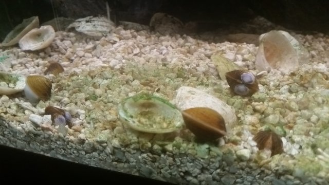 20190722_195133.jpg