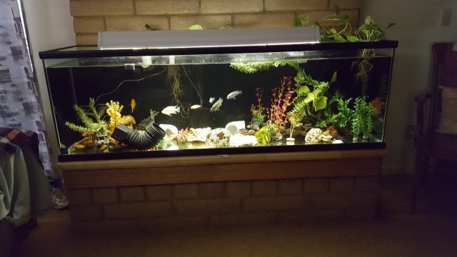 20190725_100745.jpg