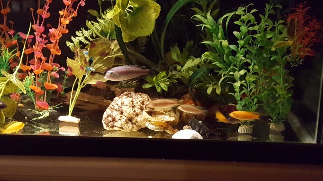 20190725_100607.jpg