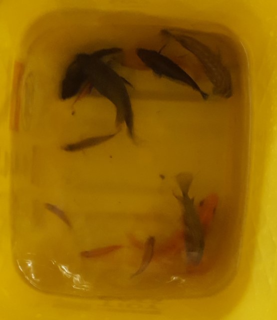 20190725_091613.jpg