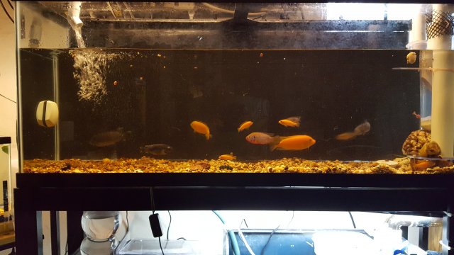 20190725_084606.jpg